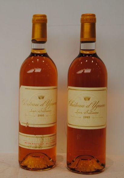 null 2 bout CHT D'YQUEM 1995