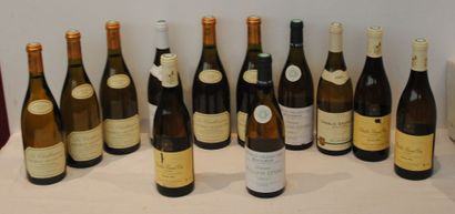 null 12 bout CHABLIS GD CRU 5 VAUDESIR LA CHABLISIENNE 2001, 1 BOUGROS WILLIAM FEVRE...