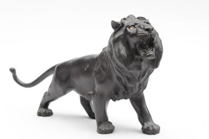 null Epreuve en bronze d'édition patiné représentant un lion rugissant, les yeux...
