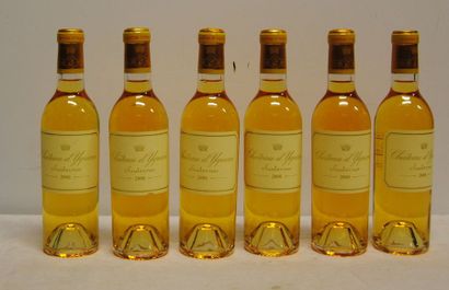 null 6 d.bout CHT YQUEM 2008