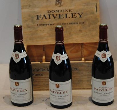 null 3 Bout CHAMBOLLE MUSIGNY 1ER CRU LES FUEES DOMAINE FAIVELEY 2015