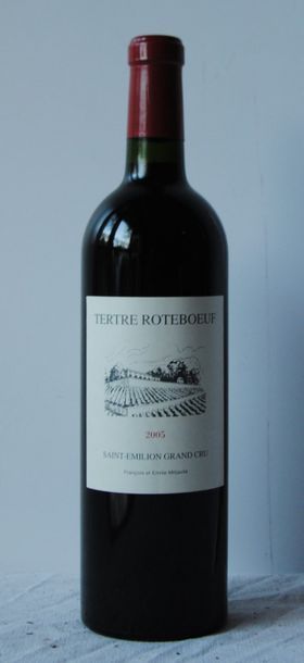 null 1 bout CHT TERTRE ROTEBOEUF ST EMILION 2005