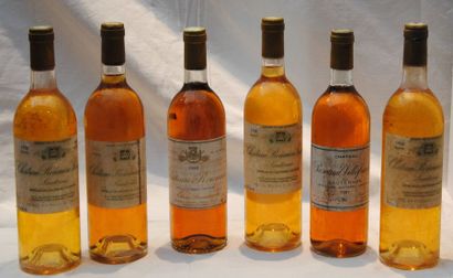 null 6 bout 4 CHT ROUMIEU LACOSTE 1981, 1 CH ROUMIEU 1988 et 1 CHT PASCAUD VILLEFRANCHE...