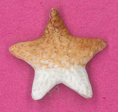 null Etoile de mer biscuit poly