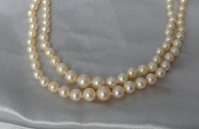 null Collier à double rangs de perles de culture, en chute, de 7,3 à 2,8 mm, le fermoir...