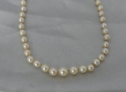 null Collier de perles de culture, en chute, de 6,5 à 3 mm, le fermoir en or gris,...