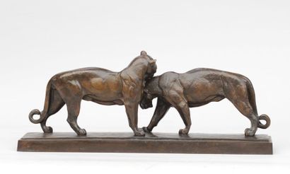 null André Vincent BECQUEREL (1893-1981)

Deux panthères se lèchant

Epreuve en bronze,...
