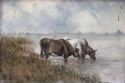 null ECOLE FRANCAISE FIN XIXE SIECLE
Deux vaches s'abrevant à la rivière
Huile sur...