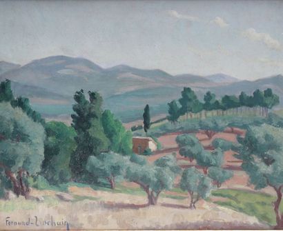 null Jean FERNAND-TROCHAIN (1879-1969)
Paysage du midi aux oliviers
Huile sur toile...
