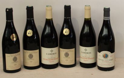 null 6 bout 3 CHINON CLOS DES MARRONNIERS 2006, 2 BOURGOGNE ROUGE EPINEUIL CAMERON...