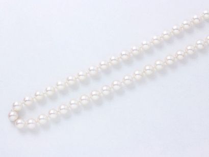 null Collier composé d'un rang de perles de culture d'environ 8.5 à 8.7 mm. Il est...