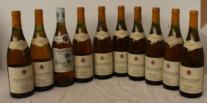 null 10 bout 1 PULIGNY MONTRACHET LES PUCELLES MOREY 1979, 9 PULIGNY MONTRACHET MONTREYNAUD...