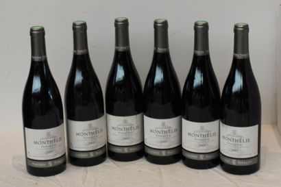 null 6 bout MONTHELIE 1ER CRU NAUDUN TINERCIN 2011