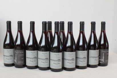 null 11 bout PINOT NOIR ANIERES 1997, 2 PINOT NOIR ASNIERES 1997 