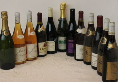 null 12 bout VINS DIVERS : MORGON, SAUMUR CHAMPIGNY, CHINON, CHENAS, BEAULOLAIS,...