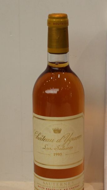1 bout CHT D'YQUEM 1995
