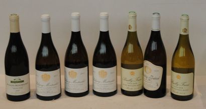 null 7 bout 3 POUILLY FUISSE MARC ROUGEOT DUPIN 2014, 1 PULIGNY MONTRACHET VV DOMAINE...