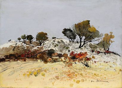 null JOUENNE Michel (né en 1933)

Arbres sur le rocher

Huile sur toile signée en...