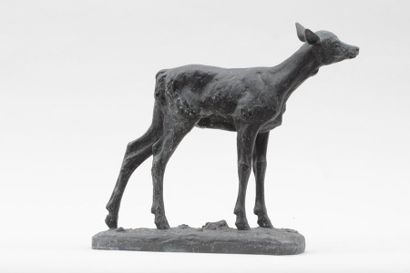 null Maximilien Louis FIOT (1886 -1953) 

Faon

Epreuve en bronze, fonte d'édition...