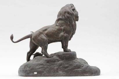 null Jean Edmond MASSON

Lion et lionceaux aurpès d'une proie

Epreuve en bronze,...