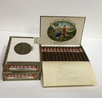 3 boxes of 25 GIPERT 