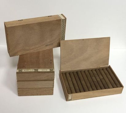  5 boites de 25 cigares (petit format, sans marque)