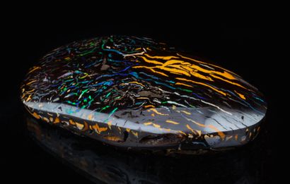 Splendide opale boulder Koroit du Queensland...
