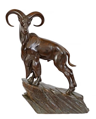  Raymond DE MEESTER DE BETZENBROECK (1904-1995)
Mouflon
Bronze à patine brune nuancée
Signé... Gazette Drouot