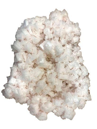 null Halite rose (XL)
Nevada, USA
31 cm

Superb condition for these intact, centimetric...