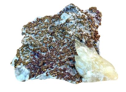 null Chalcopyrite, Calcite
Nevada, USA
24 x 30 cm

Beautiful iridescent chalcopyrite...