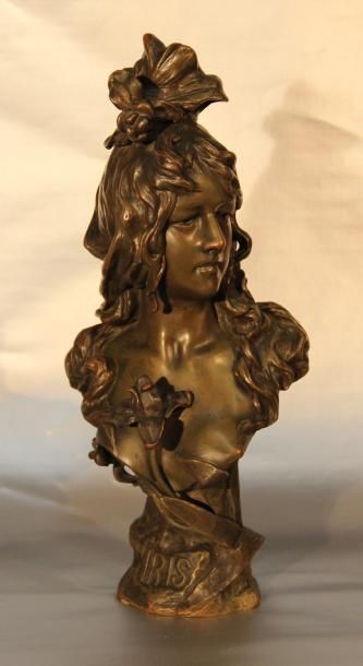 Antoine NELSON "Iris, buste de femme", bronze à patine médaille
