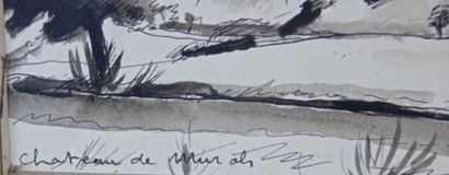 Georges PACOUIL (1903-1996) 
Paysage aux ruines 
Encre brune et lavis
signé en bas...