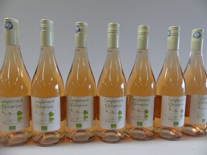 null 9 bouteilles de Rosé IGP du Pays d'Oc Vin issu de l'agriculture Bio 2013