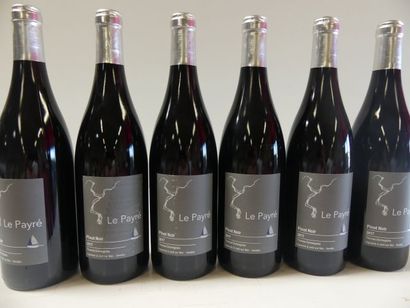 null 6 bouteilles de Pinot Noir Domaine Dormegnies Vin de Loire