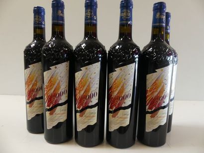 null 6 bouteilles de Côtes du Marmandais, "Sélection 2000", Cuvée 1998