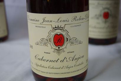 null 6 bouteilles de Cabernet d'Anjou, domaine Jean-Louis Robin Diot, 2005