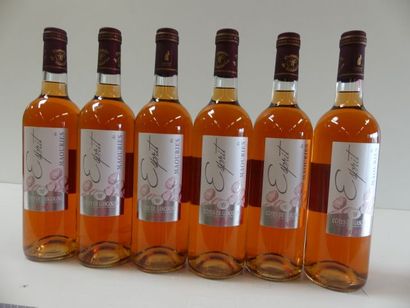 null 6 bouteilles de Château des Maouries - L'Esprit des Maouries 2014 Côtes de Gascogne...