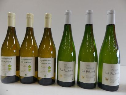 null Lot de 6 bouteilles : 3 Saumur Blanc La Paleine 2012 ; 3 Blanc Pays d'Oc IGP...