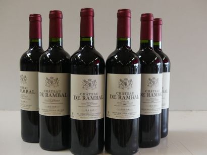 null 6 bouteilles de Bordeaux Château de Rambal - Côtes de Bordeaux 2008 SCEA du...
