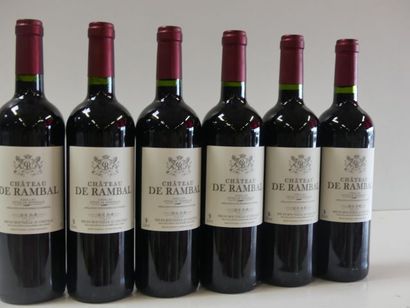 null 6 bouteilles de Bordeaux Château de Rambal - Côtes de Bordeaux 2008 SCEA du...
