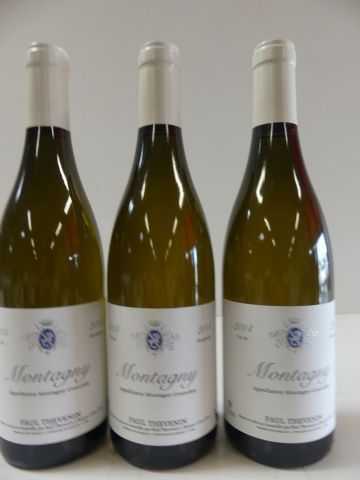 null 3 bouteilles de Montagny 2014 Bourgogne Blanc Paul Thévenin