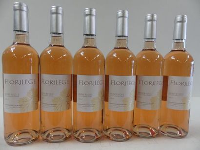 null 6 bouteilles de Rosé sec 2017 Le Florilège Minervois Récoltant