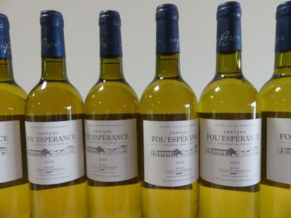 null 12 bouteilles de Bordeaux Blanc Grande Réserve 2010 Château Fol'Espérance
