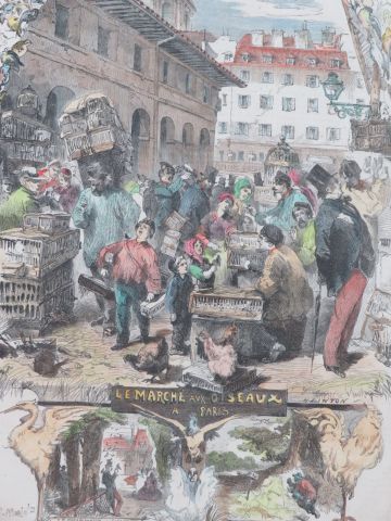 null D'après Edmond Morin "Le Marché aux oiseaux". Lithographie en couleurs. 33 x...