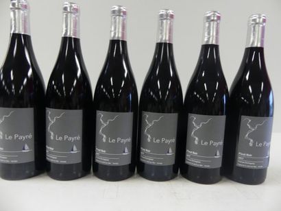 null 6 bouteilles de Pinot Noir Le Payré 2017 Domaine Thomas Dormegnies Vin de L...