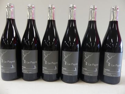 null 6 bouteilles de Pinot Noir Le Payré 2017 Domaine Thomas Dormegnies Vigneron...