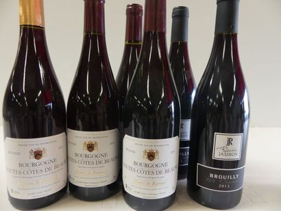 null Lot de 5 bouteilles : 3 de Hautes Côtes de Beaune (1 de 2015, l'autre de 2018),...