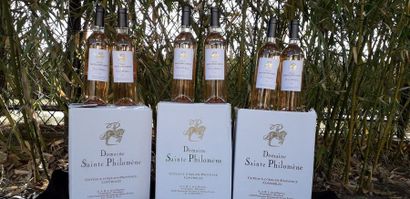 null 6 bouteilles de Côtes de Provence Rosé, domaine Sainte Philomène, cuvée Philippine,...