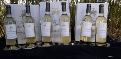 null 6 bouteilles de Côtes de Provence Blanc, domaine Sainte Philomène, cuvée Valentino,...