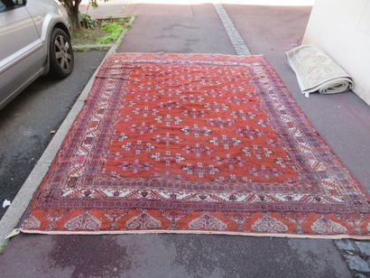 null Tapis Boukhara en laine à décor géométrique sur fond rouge. 310 x 240 cm